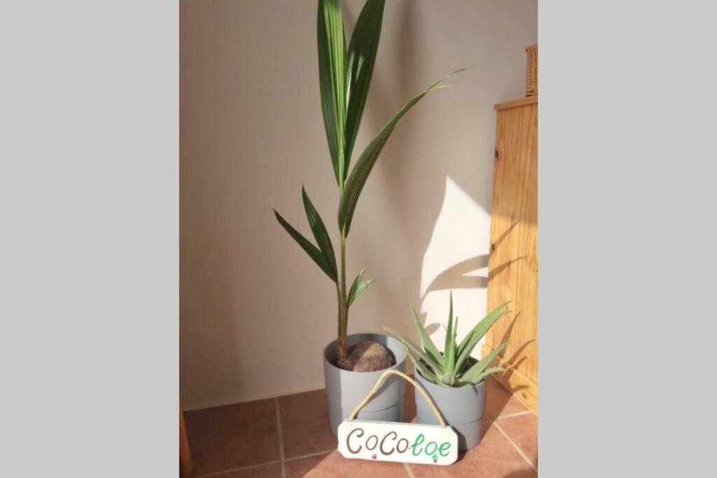 Casa Cocoloe Lajares Villa Eksteriør bilde